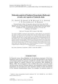 Molecular analysis of Southern Ocean skates
