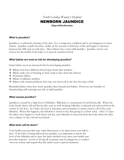 Newborn Jaundice *