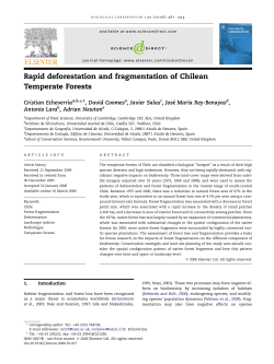 Rapid deforestation and fragmentation of Chilean Temperate Forests