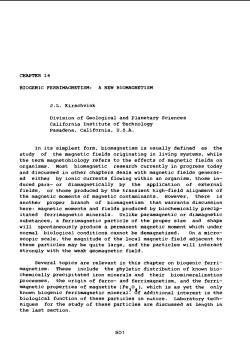 CHAPTER 14 BIOGEMIC FERRIMAGNETISM: A MEW