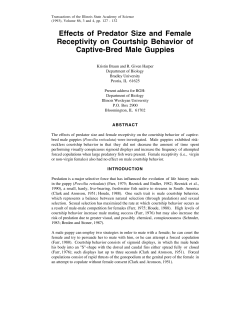 Effects of Predator Size and Female Receptivity on Courtship
