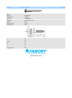 49250035035 d95 bras rcsk woodscr slott 3,5x35