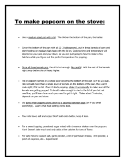 Popcorn recipe - Boise Galloway