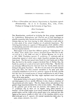 A Form of Dimorphism and Asexual Reproduction in Ptychodera