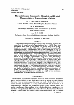 The Isolation and Comparative Biological and Physical