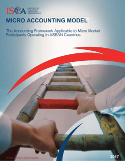 MICRO ACCOUNTING MODEL