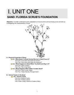 I. UNIT ONE - Discovering Florida Scrub