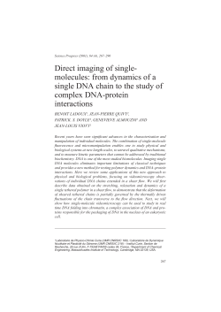 Direct imaging of single- molecules: from dynamics of a single