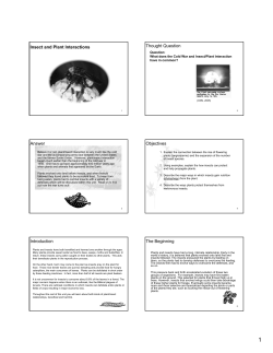 Insect and Plant Interactions Thought Question Answer Objectives