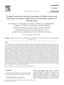 Complex interactions between autotrophs in shallow marine and