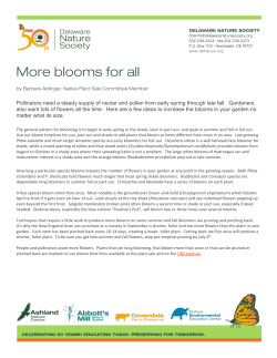 Pollinators need a steady supply of nectar and pollen from early