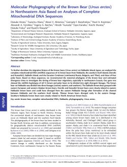 Article Molecular Phylogeography of the Brown Bear (Ursus arctos