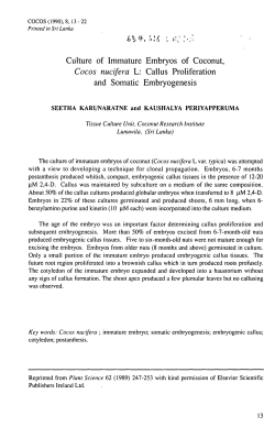 Culture of Immature Embryos of Coconut, Cocos nucifera L: Callus