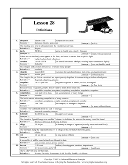 Lesson 28