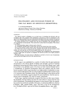 polyploidy and nuclear fusion in the fat body of rhodnius