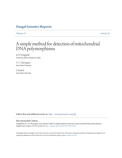 A simple method for detection of mitochondrial