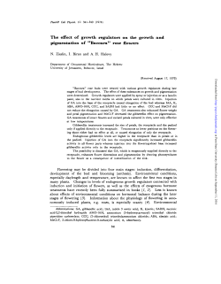 The effect of growth regulators on the growth and pigmentation of