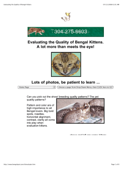 Evaluating the Quality of Bengal Kittens