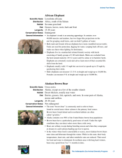 African Elephant Alaskan Brown Bear