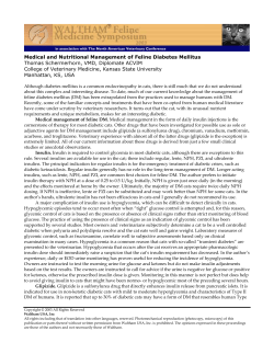 Medical and Nutritional Management of Feline Diabetes