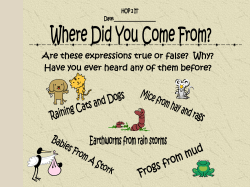 Spontaneous Generation