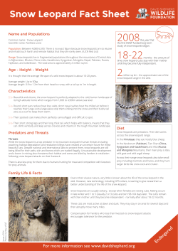 Snow Leopard Fact Sheet - David Shepherd Wildlife Foundation