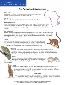 Fun Facts about Madagascar