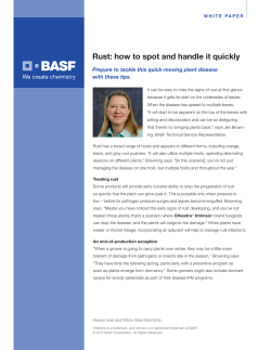 Rust: how to spot and handle it quickly