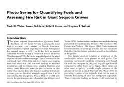 Photo Series for Quantifying Fuels and Assessing Fire Risk in Giant