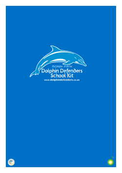 Dolphin Defenders worksheets