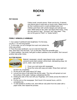 1 PET ROCKS Collect small, smooth stones. Wash and let dry. If