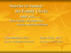 Circumplex Model of Family Dynamics