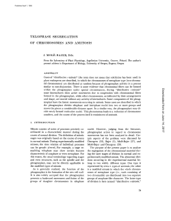 TELOPHASE SEGREGATION OF CHROMOSOMES AND AMITOSIS