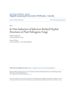 In Vitro Induction of Infection-Related Hyphal Structures in Plant