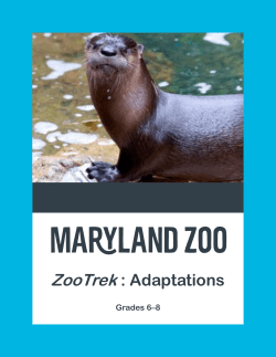 Adaptations Zoo Trek 6-8 - The Maryland Zoo in Baltimore