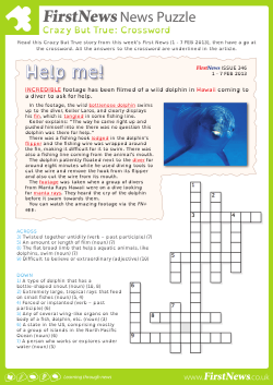 KS2 News Puzzle Issue 346