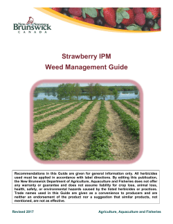 Strawberry IPM Weed Management Guide
