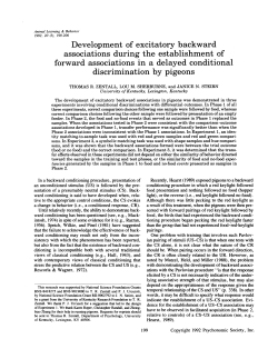 Development of excitatory backward associations during the