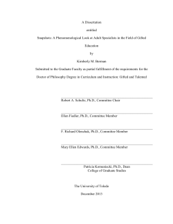 Snapshots: A Phenomenological Look at Adult Specialists in the