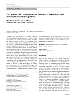 On the barn owl`s visual pre-attack behavior: I. Structure of head