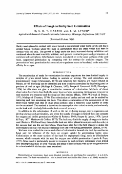 Effects of Fungi on Barley Seed Germination