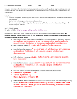 6.5 Karyotyping Webquest_ANS