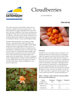 Cloudberries - University of Alaska Fairbanks
