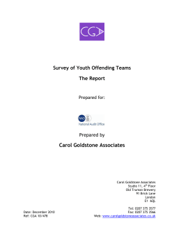 Survey of Youth Offending Teams