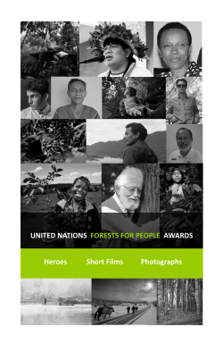 Forest Heroes Award booklet