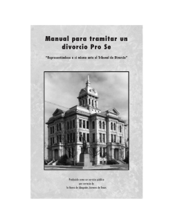 Manual para tramitar un divorcio Pro Se