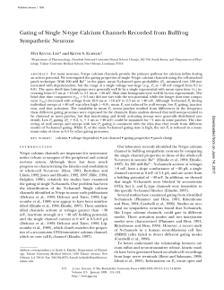 Gating of Single N-type Calcium Channels Recorded from Bullfrog