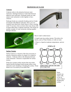 PROPERTIES OF WATER Cohesion Cohesion