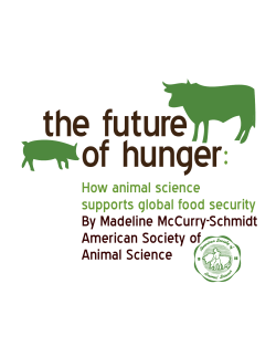 How animal science supports global food security By Madeline