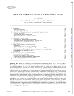 Spinal and Supraspinal Factors in Human Muscle Fatigue